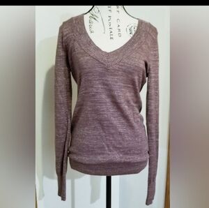 Express Pink Mauve Shimmer Vneck Longsleeve Banded Blouse Medium